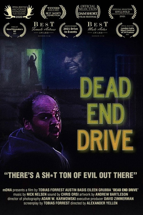 Movie poster for Dead End Drive (2020)