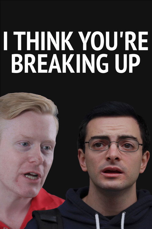 Movie poster for I Think You're Breaking Up (2025)