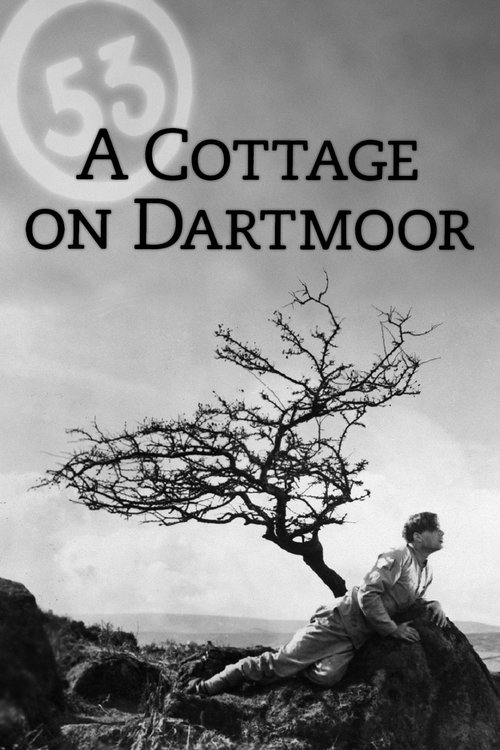 Movie poster for A Cottage on Dartmoor (1929)