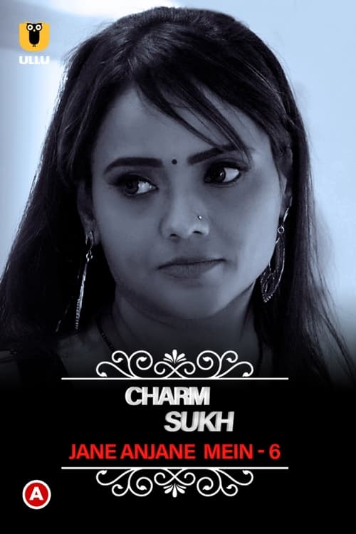 Charmsukh - Jane Anjane Mein 6 poster