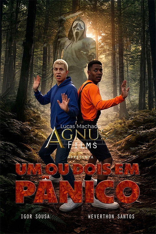Movie poster for Um ou Dois em Pânico (2026)