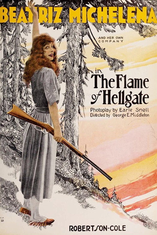 Movie poster for The Flame of Hellgate (1920)