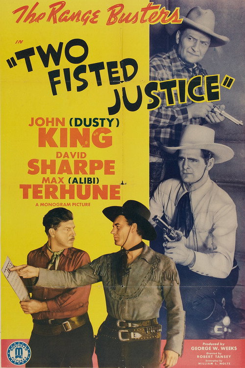 Movie poster for Two Fisted Justice (1943)