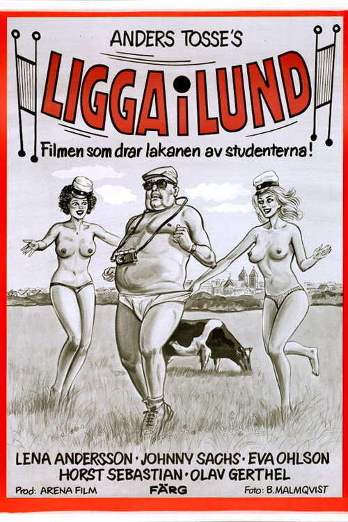 Movie poster for Lay in Lund (1981)