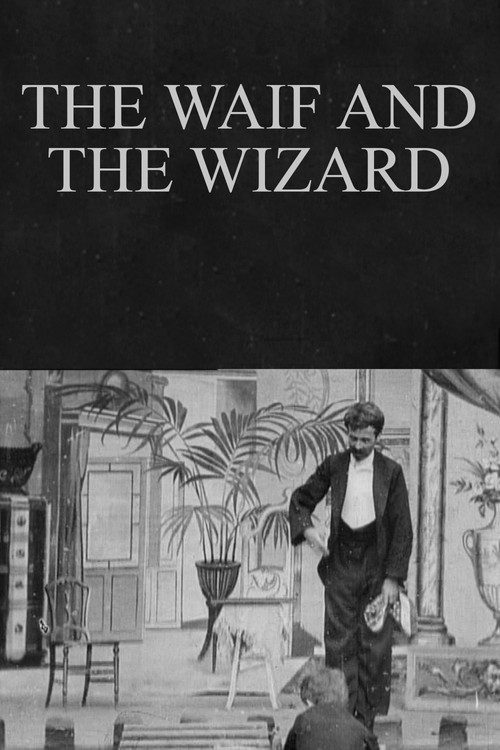 Movie poster for The Waif and the Wizard (1901)