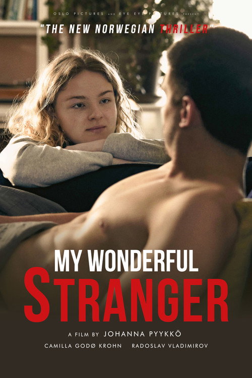 Movie poster for My Wonderful Stranger (2024)