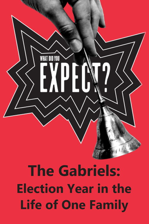 Movie poster for The Gabriels: Election Year in the Life of One Family, Play Two: What Did You Expect? (2017)