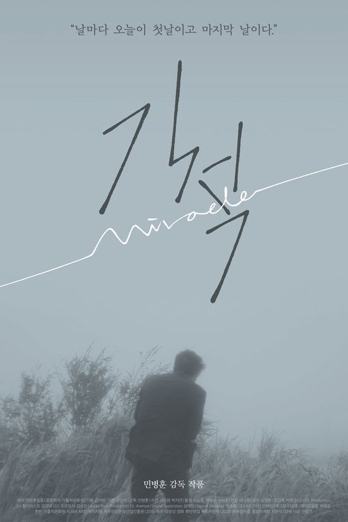 Movie poster for Miracle (2020)