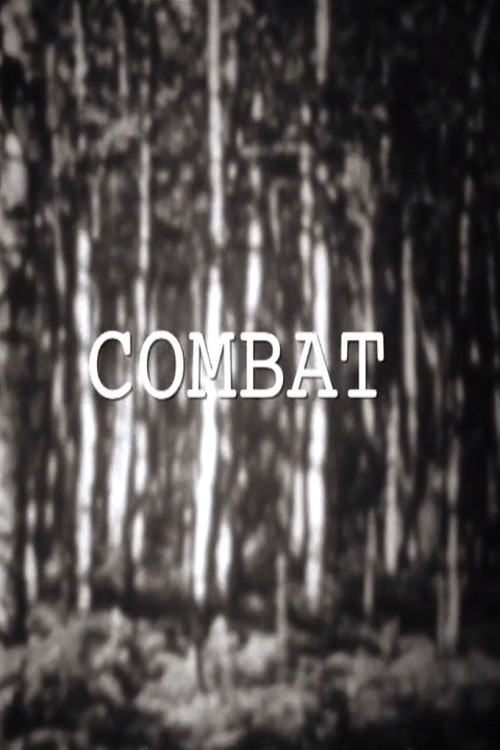 Movie poster for Combat (2015)