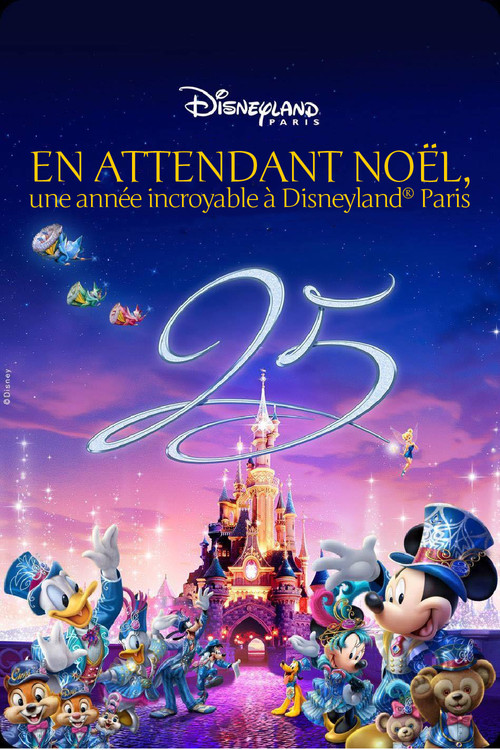 Movie poster for Waiting for Christmas: An Incredible Year at Disneyland Paris (2017)