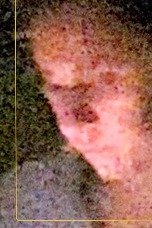 Movie poster for A Sentimental Science (2020)