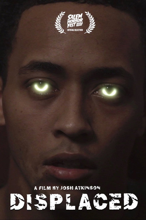 Movie poster for Displaced (2020)