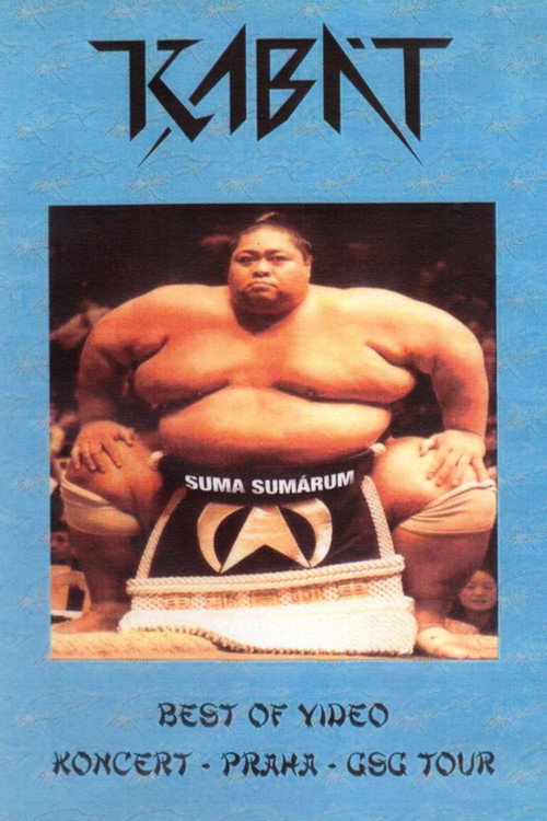 Movie poster for Kabát – Suma Sumárum (2002)