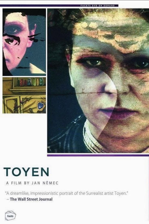 Movie poster for Toyen (2005)