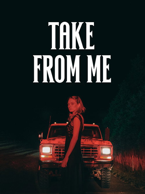 Movie poster for Take from Me (2024)