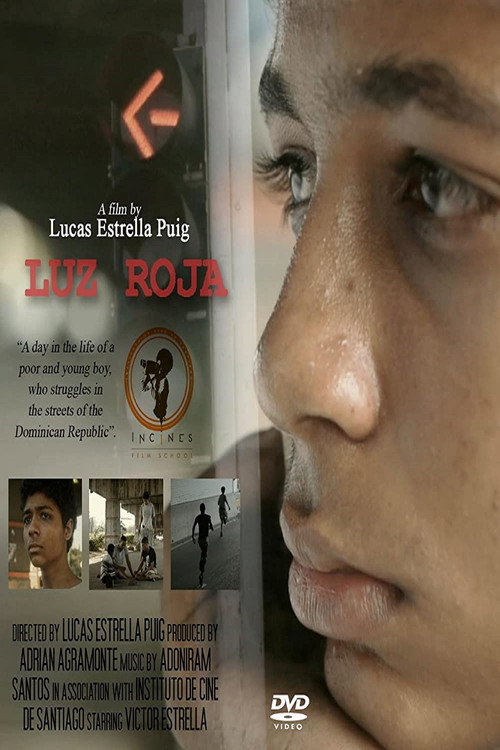 Movie poster for Luz Roja (2013)