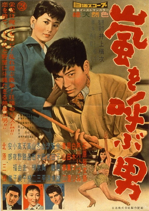 Movie poster for Man Who Causes a Storm (1957)