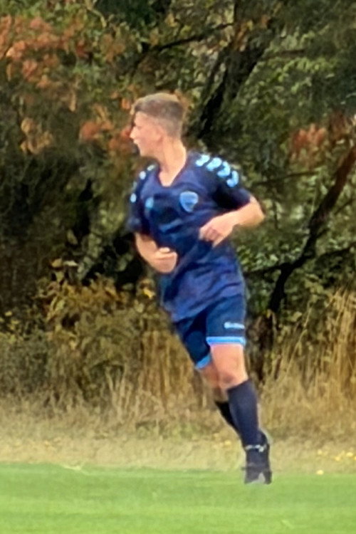 Photo of Will Sacco, Acting