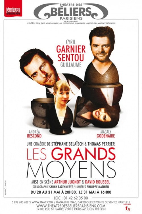 Movie poster for Les Grands Moyens (2012)