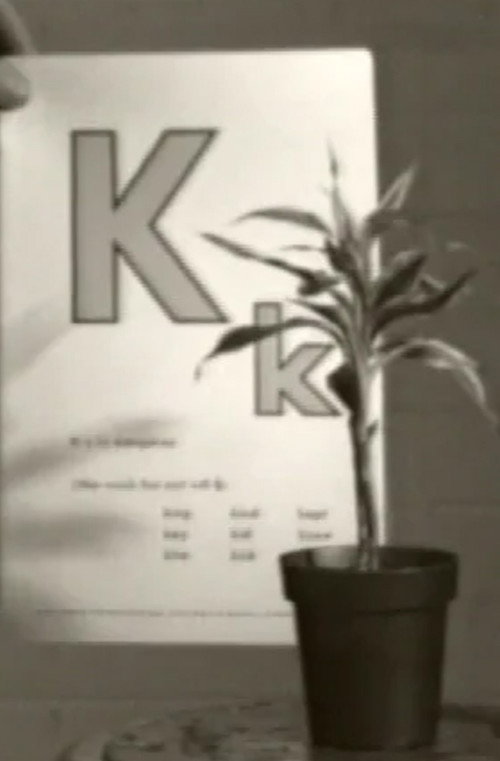 Movie poster for Teaching a Plant the Alphabet (1972)
