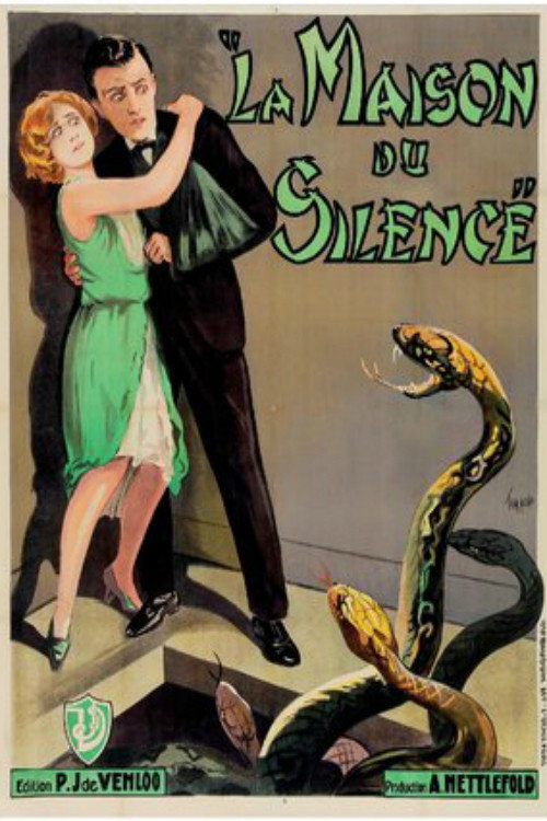 Movie poster for The Silent House (1929)