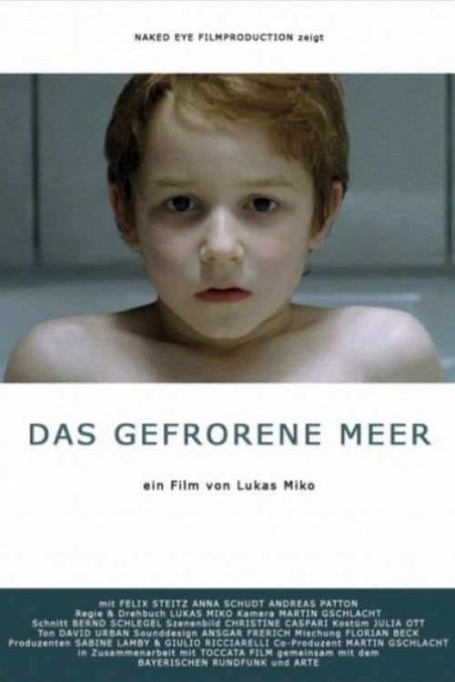Movie poster for The Frozen Sea (2006)