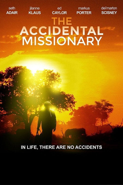 Movie poster for The Accidental Missionary (2015)