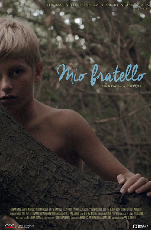Movie poster for Mio Fratello (2019)
