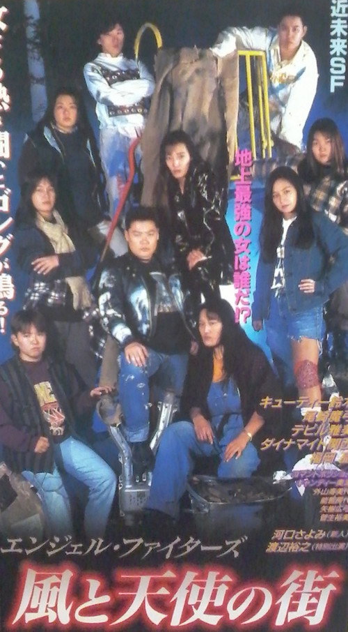 Movie poster for Angel Fighters (1995)