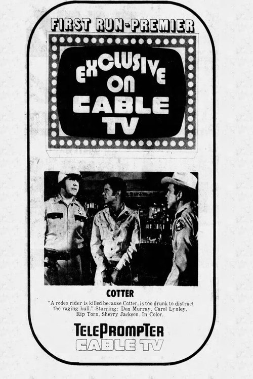 Movie poster for Cotter (1973)