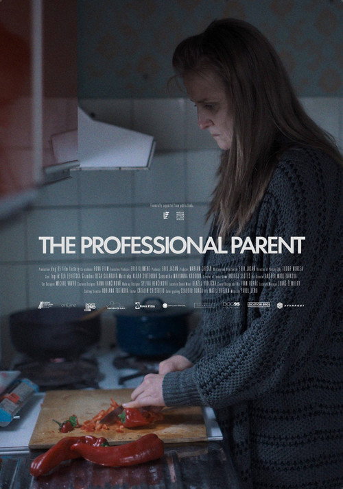 Movie poster for The Professional Parent (2024)