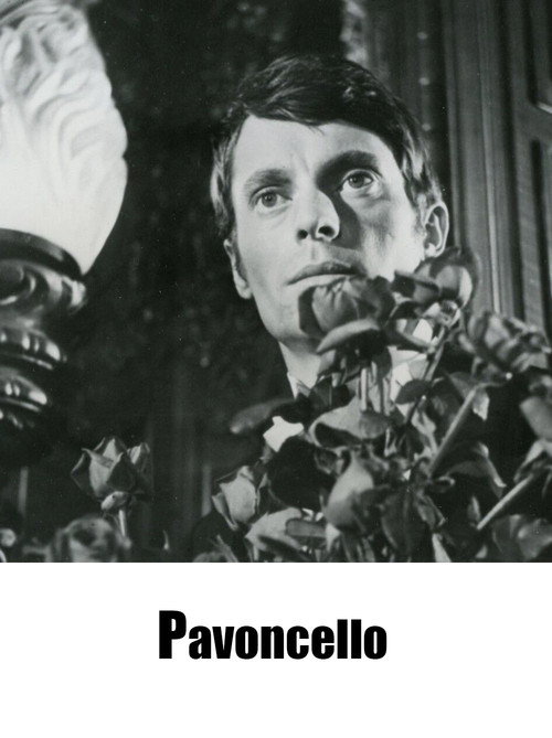 Movie poster for Pavoncello (1967)