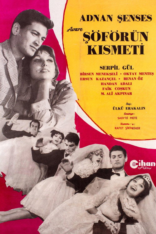 Movie poster for Avare Şoförün Kısmeti (1963)