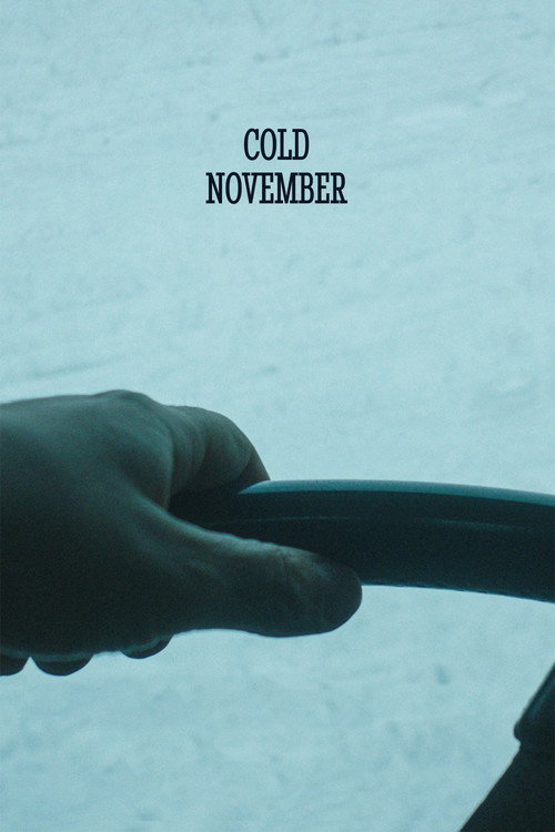 Movie poster for Cold November (2018)