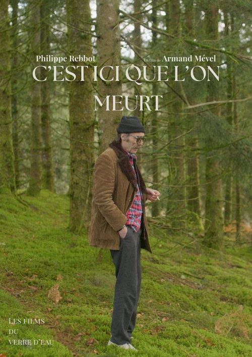 Movie poster for C'est ici que l'on meurt (2026)