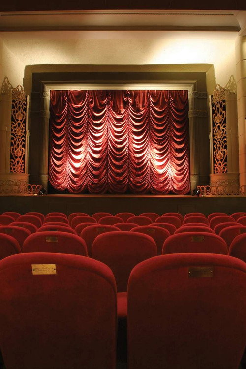 Movie poster for The Dream Palace: A People's History of Tyneside Cinema (2018)