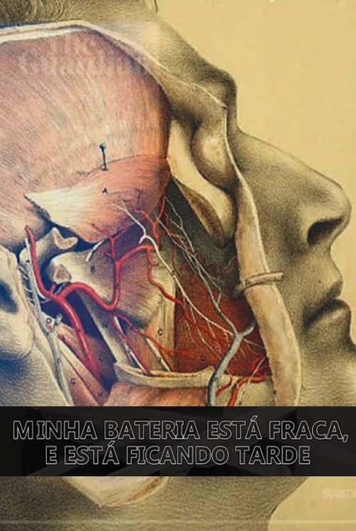 Movie poster for Minha Bateria Está Fraca e Está Ficando Tarde (2020)