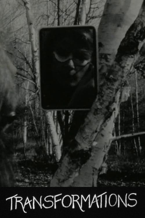 Movie poster for Transformations (1972)
