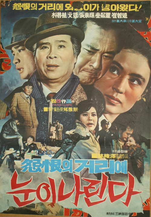 Movie poster for Snowing on Grudge Street (1971)