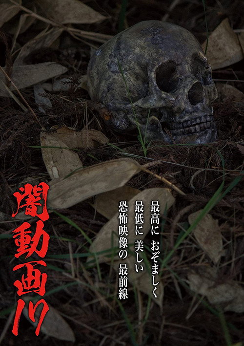 Movie poster for Tokyo Videos of Horror 17 (2017)