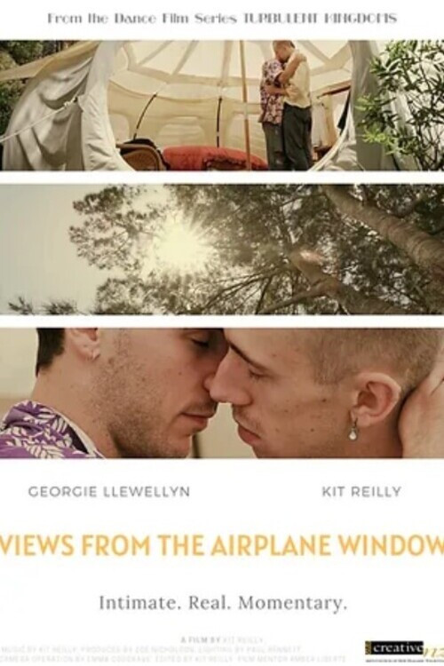 Movie poster for Views from the Airplane Window (2022)