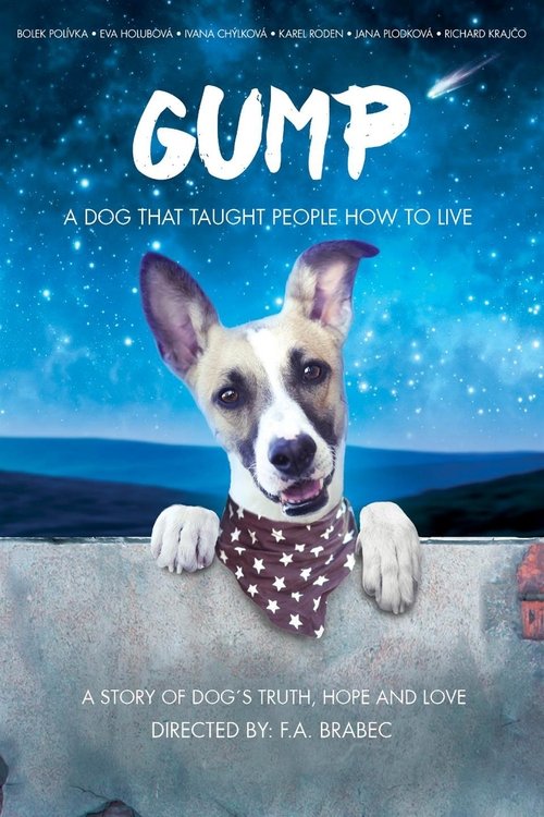Movie poster for Gump (2021)