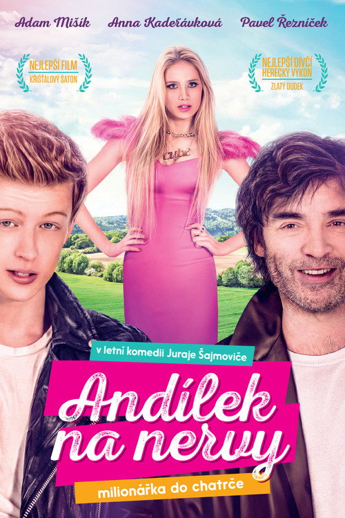 Movie poster for Victoria Angel (2015)