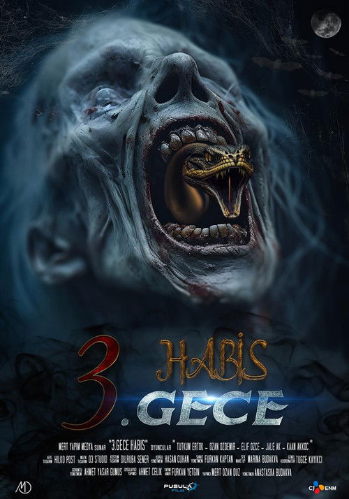Movie poster for 3. Gece Habis (2024)