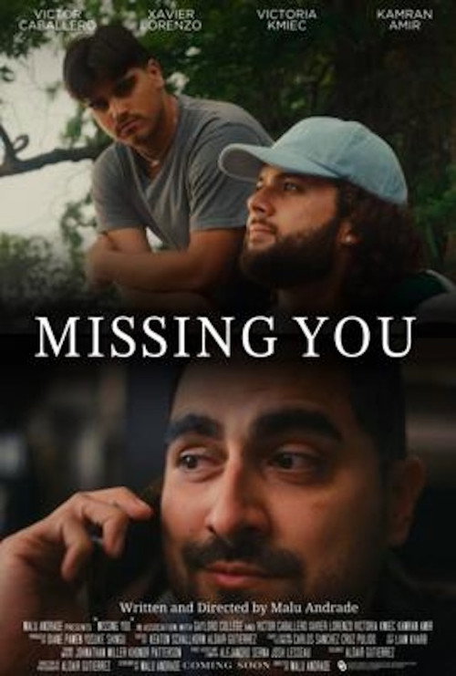 Movie poster for Missing You (2024)