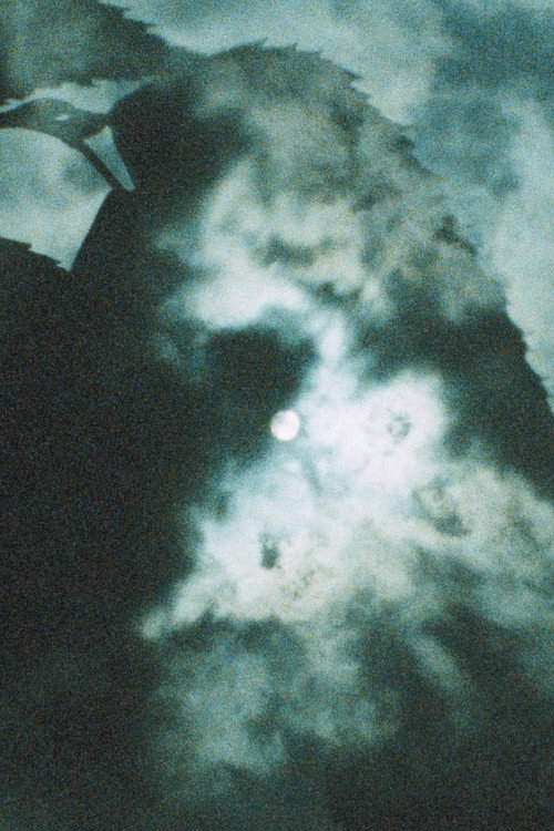 Movie poster for Shadow Stepping (1983)
