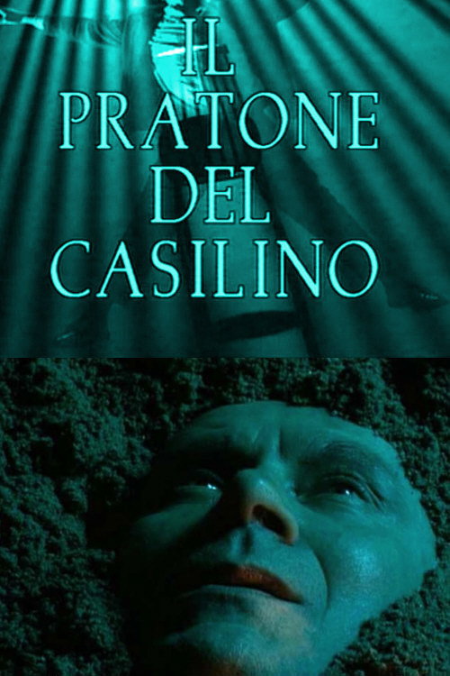 Movie poster for The field of Casilino (1995)