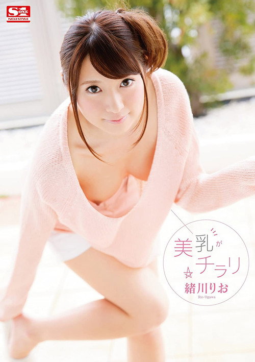 Movie poster for A Flash Of Beautiful Tits Rio Ogawa (2015)