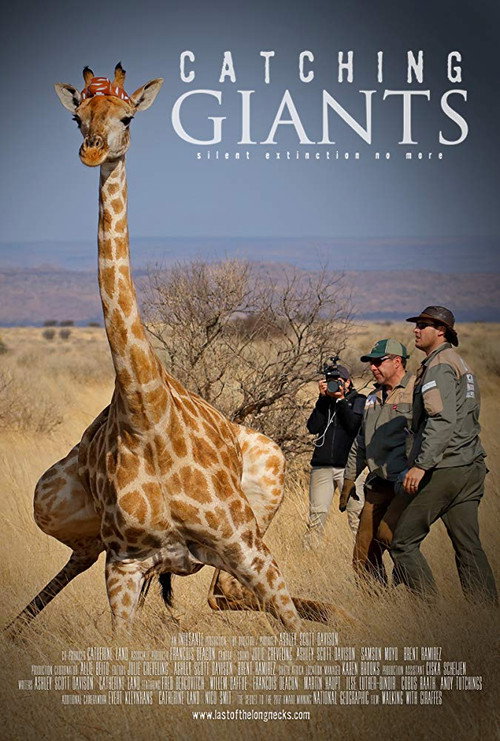 Movie poster for Catching Giants (2018)