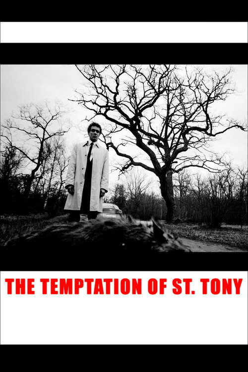Movie poster for The Temptation of St. Tony (2009)